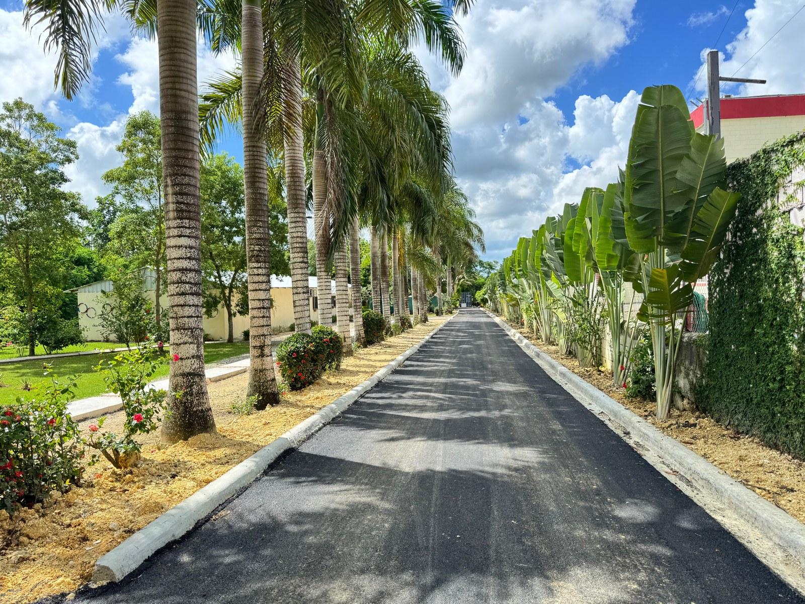 Palm-lined entrance road at the Bright Stars for the Children campus in San Antonio de Guerra, Dominican Republic.